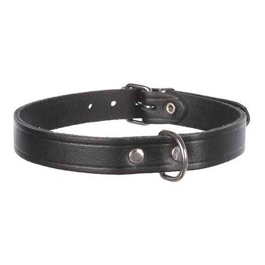 Collier pour chien Basic  