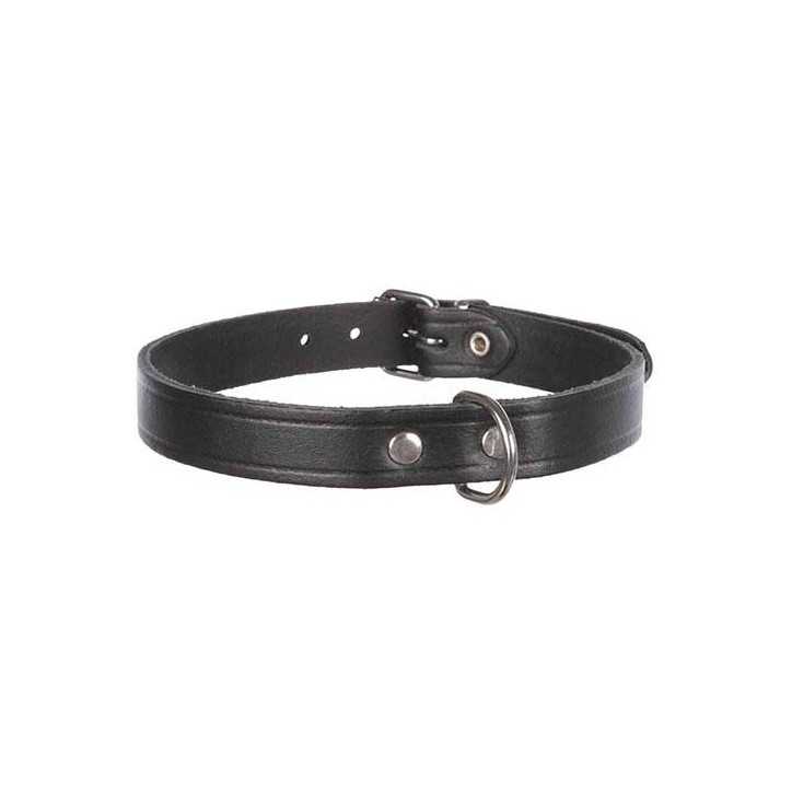 Collier pour chien Basic