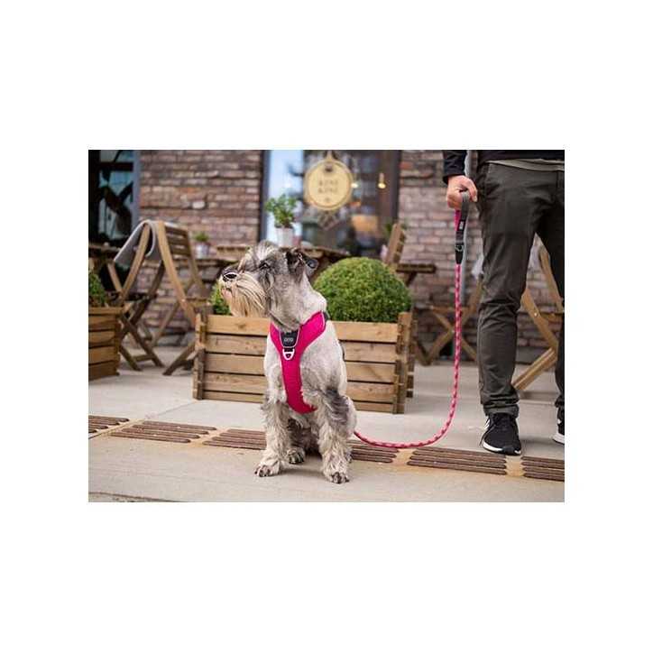 Dog Copenhagen Harnais confort Walk Pro