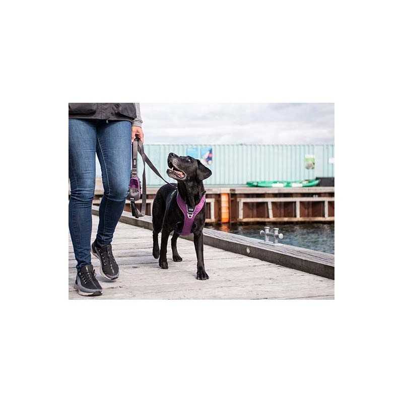 Dog Copenhagen Harnais confort Walk Pro  