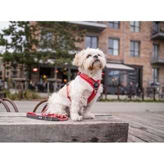 Dog Copenhagen Harnais confort Walk Air  