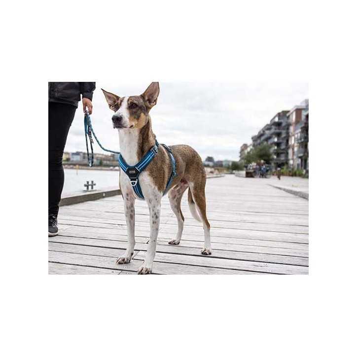 Dog Copenhagen Harnais confort Walk Air