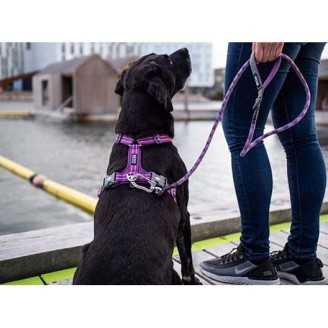 DOG COPENHAGEN - Laisse Urban Rope  