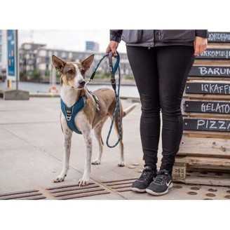 DOG COPENHAGEN - Laisse Urban Rope  