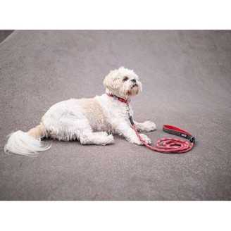 DOG COPENHAGEN - Laisse Urban Rope  