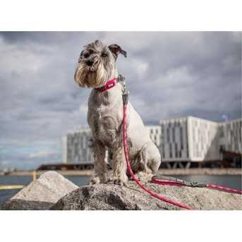 DOG COPENHAGEN - Laisse Urban Rope