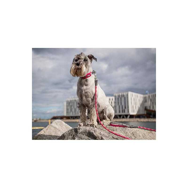 DOG COPENHAGEN - Laisse Urban Rope  