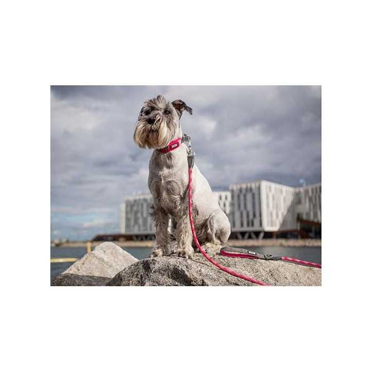 DOG COPENHAGEN - Laisse Urban Rope