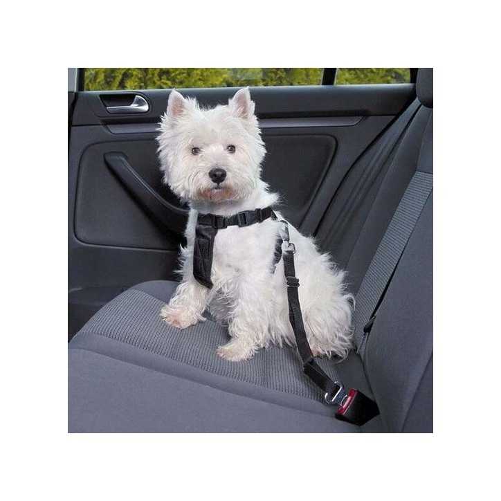 Car safety harness