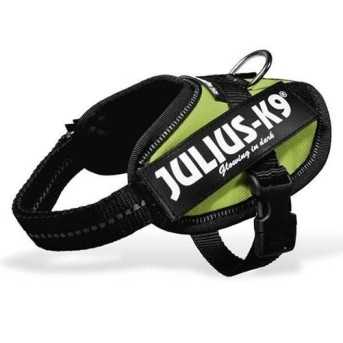 Julius K9 IDC baby harness 1