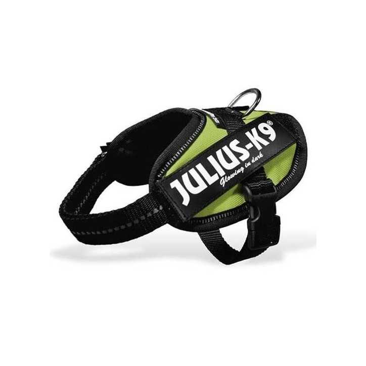 Julius K9 IDC baby harness 1