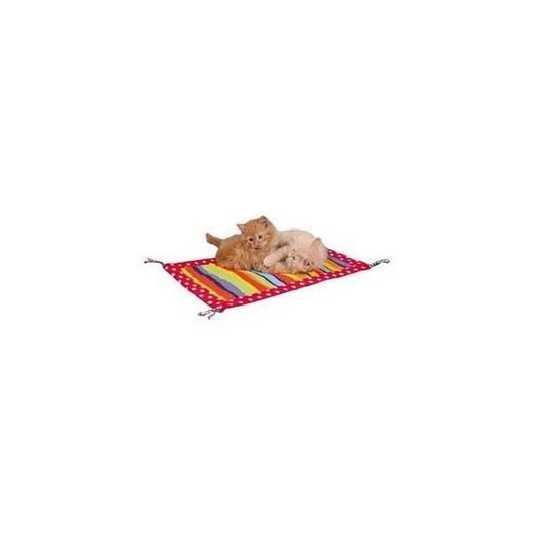 Tapis de jeu pour chat 