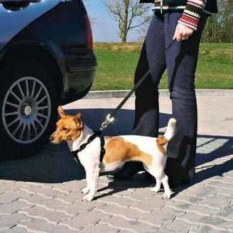 Harnais de securite pour voiture 