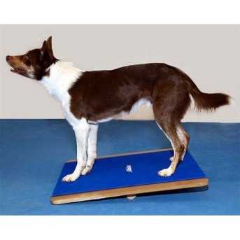 FitPaws Giant Rocker board