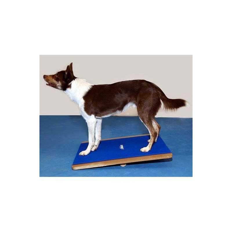 FitPaws Giant Rocker board 