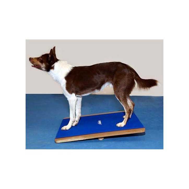 FitPaws Giant Rocker board