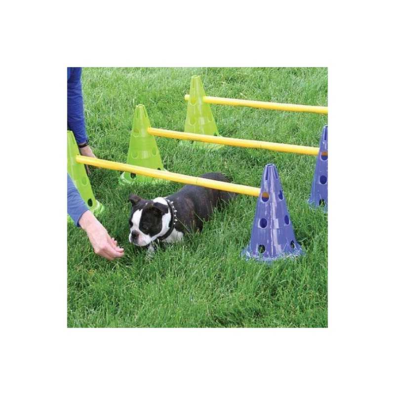 FitPaws mini haie Canine Gym Dog Agility 100% rembourse 