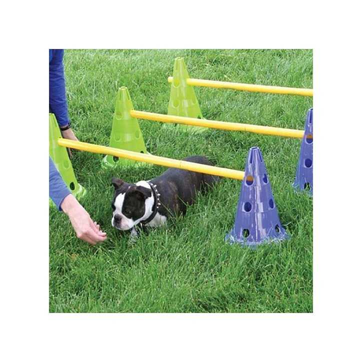 FitPaws mini haie Canine Gym Dog Agility 100% rembourse