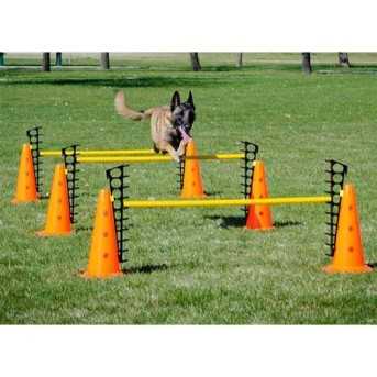 FitPaws saut d'obstacle Hurdle Set