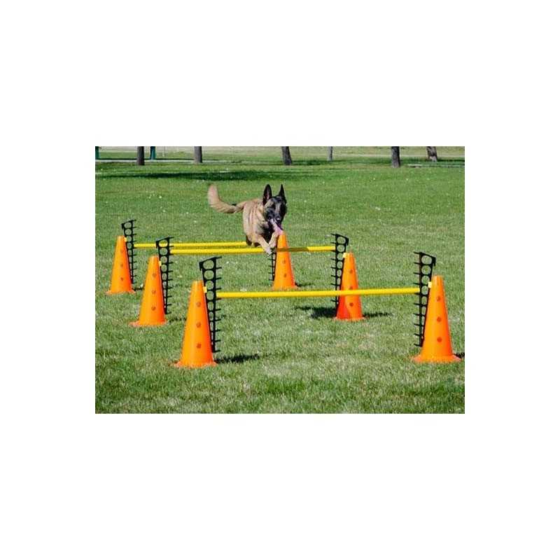 FitPaws saut d'obstacle Hurdle Set 