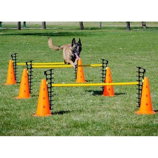 FitPaws saut d'obstacle Hurdle Set 