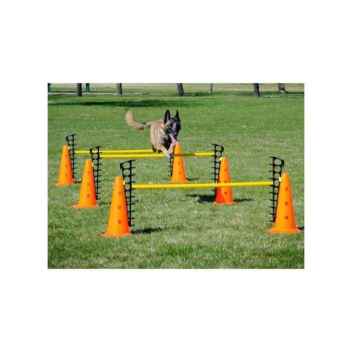 FitPaws saut d'obstacle Hurdle Set