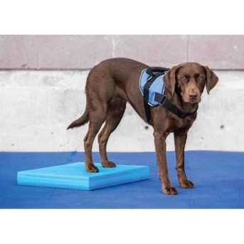 FitPaws Balance Pad