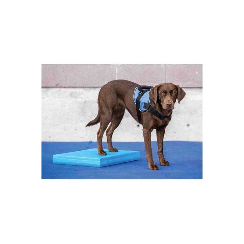 FitPaws Balance Pad 