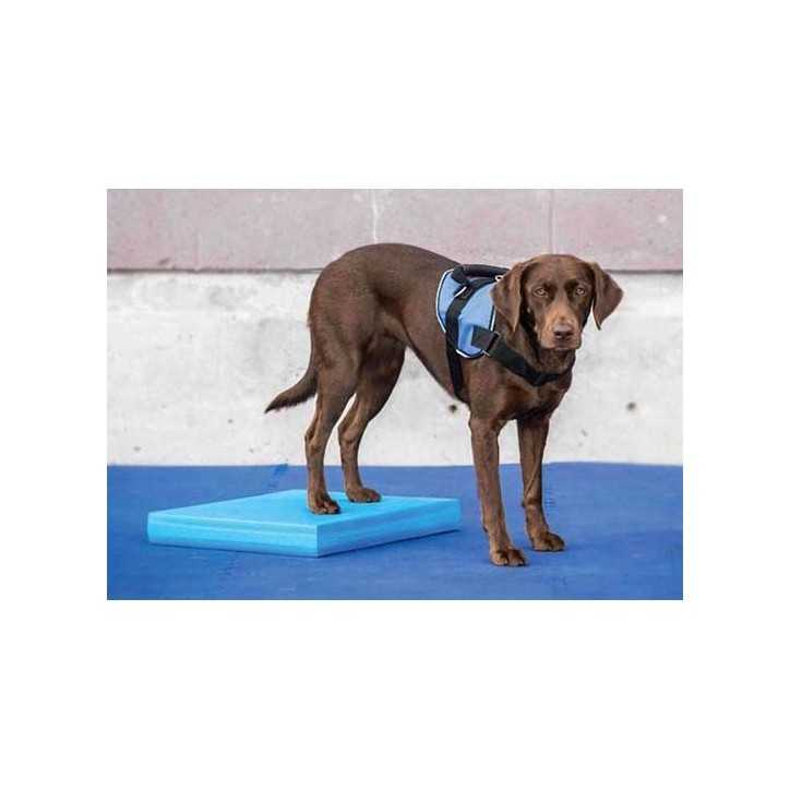 FitPaws Balance Pad