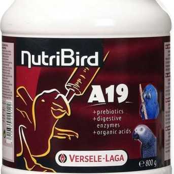 NUTRIBIRD A19