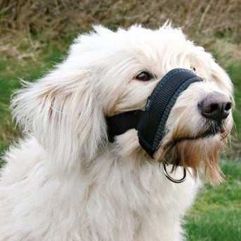 Museliere a sangle en Nylon pour chien