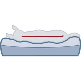 Vital Matelas Bendson