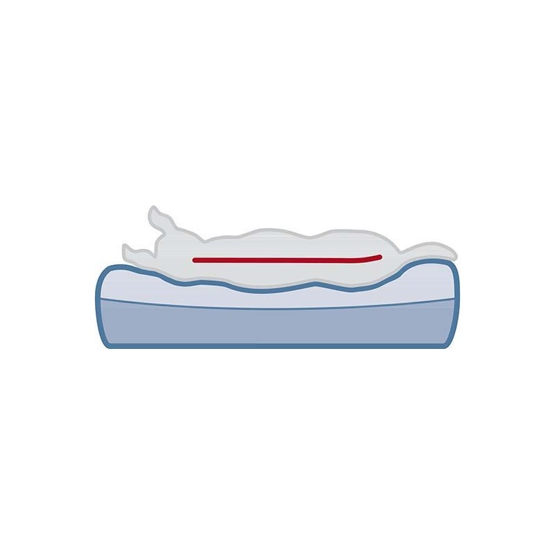 Vital Matelas Bendson 