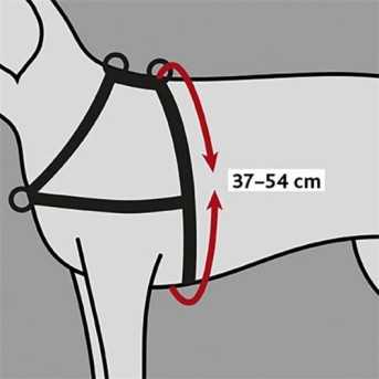 Harnais de dressage Lead and Walk Basic 