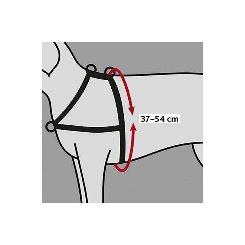 Harnais de dressage Lead and Walk Basic 