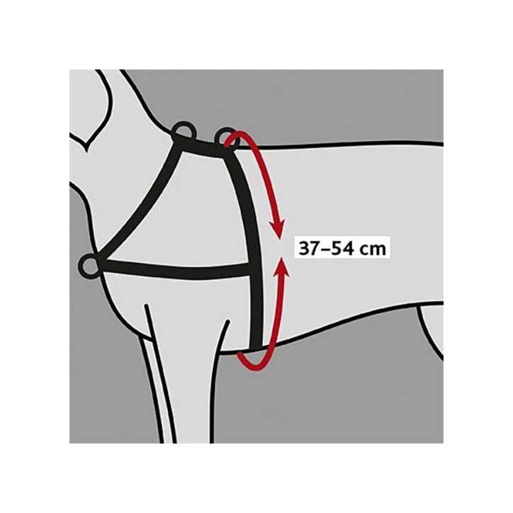 Harnais de dressage Lead and Walk Basic