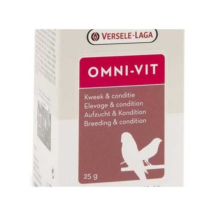 Omni-Vit