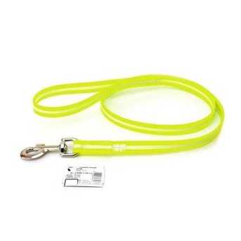 Laisse pour chien Lumino