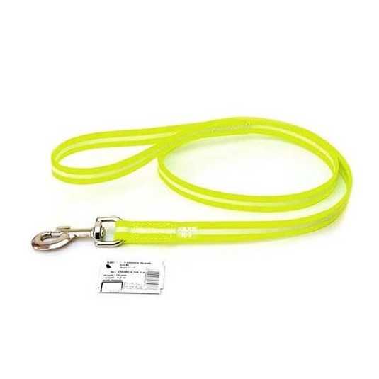 Laisse pour chien Lumino 