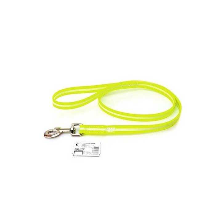 Laisse pour chien Lumino