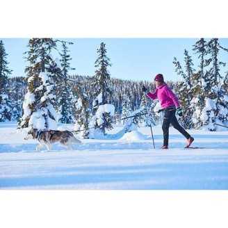 Non Stop Ceinture Trekking pour randonnee et canicross  