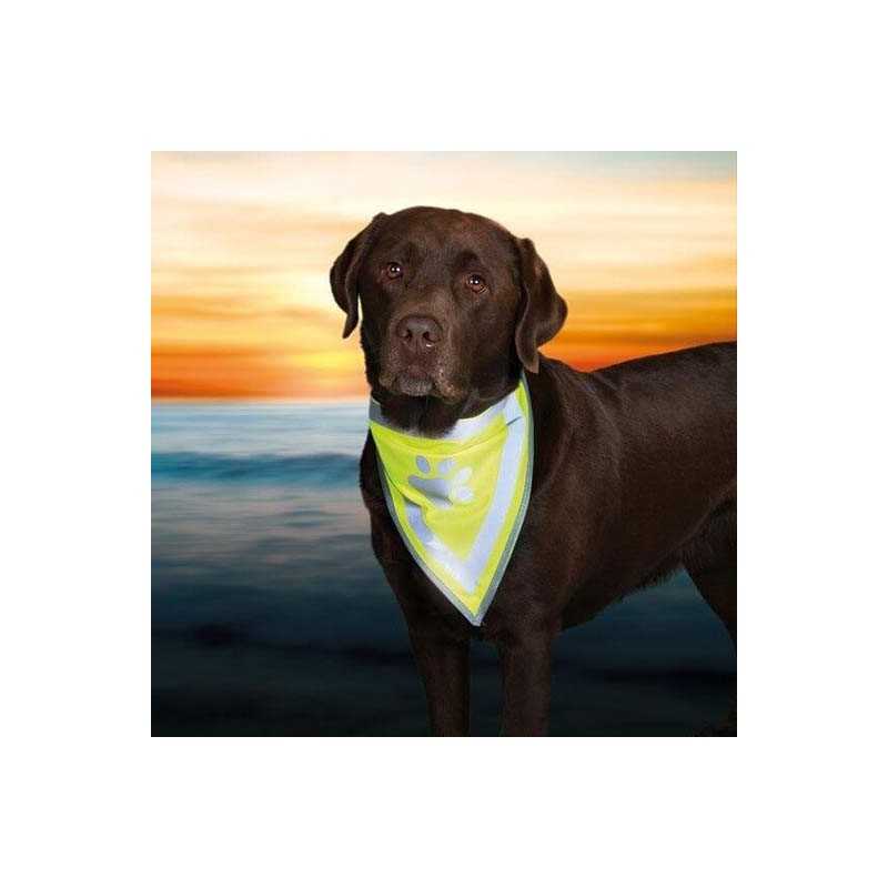 Foulard de securite pour chien 