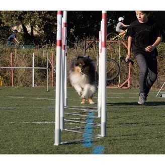 Pack agility maison 