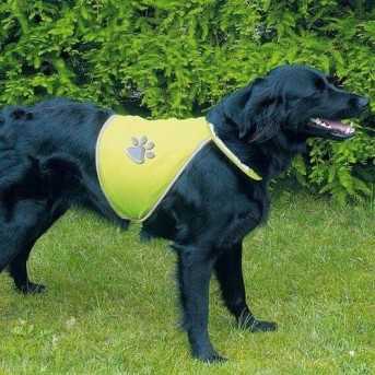 Gilet de securite pour chien 