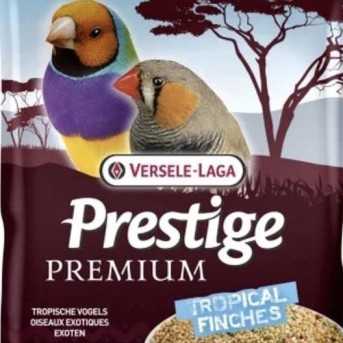 VERSELE LAGA  Exotic Prestige Premium melange de graines pour oiseaux tropicaux