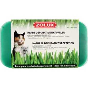 Herbe a chat depurative naturelle 250g 