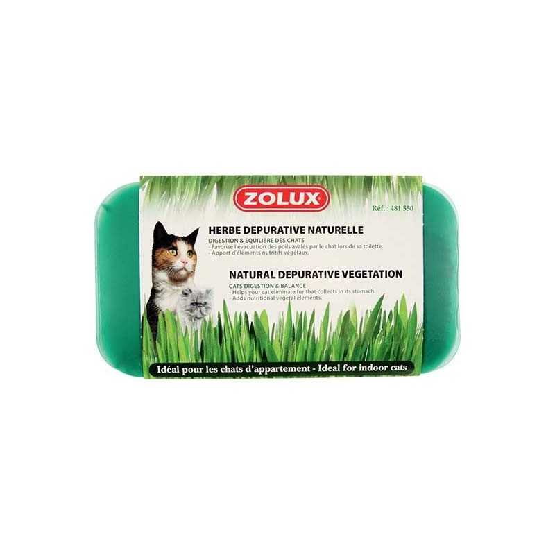 Herbe a chat depurative naturelle 250g 