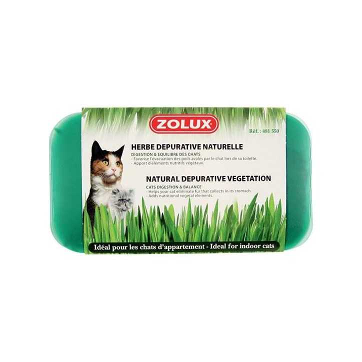 Herbe a chat depurative naturelle 250g