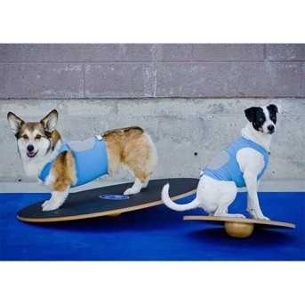 FitPaws Wobble board