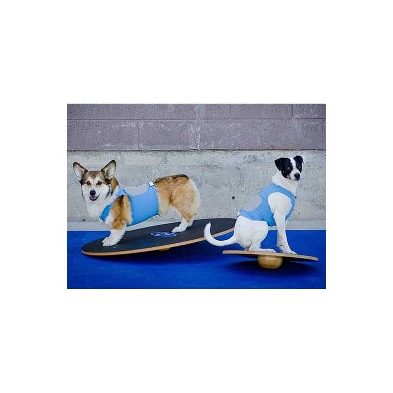 FitPaws Wobble board 